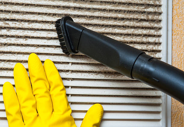 Best Dryer Vent Cleaning Services  in Forty Fort, PA